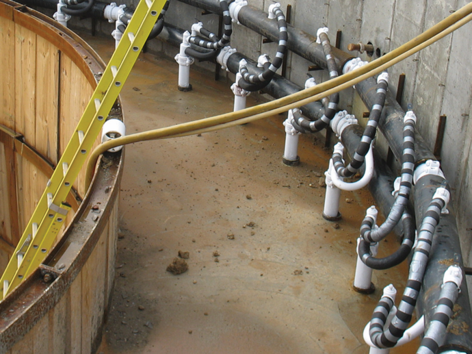 freeze pipes